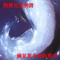 聚四氟乙烯消音脂，低温润滑脂